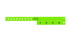 Neon Green